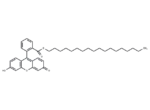 Fluorescein octadecyl ester