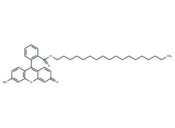 Fluorescein octadecyl ester