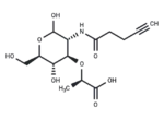 Click N-Acetylmuramic acid – alkyne