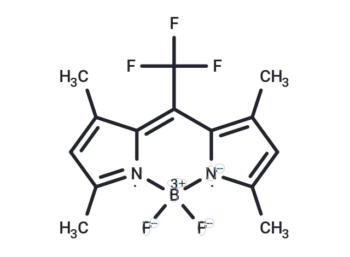 meso-CF3-BODIPY 2