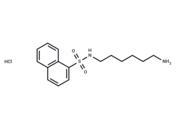 W-5 hydrochloride