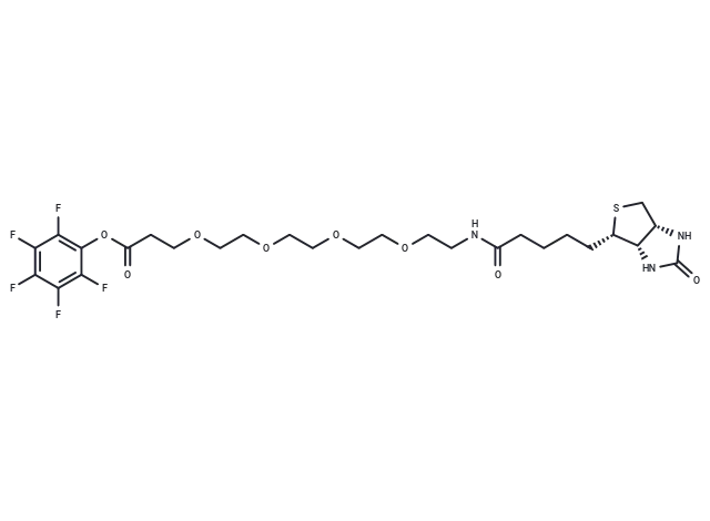 Biotin-PEG4-PFP ester