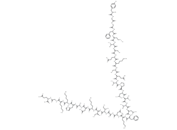 β-Endorphin, rat