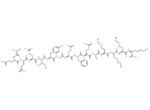 Src Optimal Peptide Substrate
