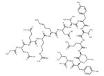 Thymopoietin i/ii (29-41) (bovine) 1 Thymopoietin i/ii (29-41) (bovine)