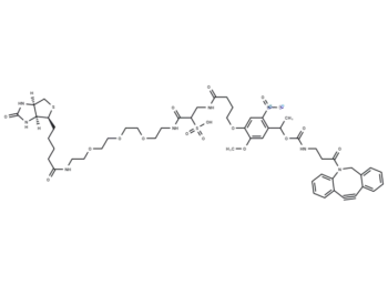 WSPC Biotin-PEG3-DBCO