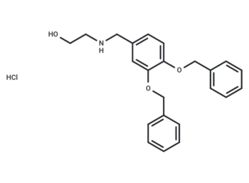 XIE62-1004