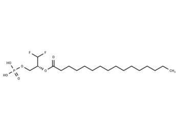 XY-4
