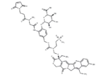 MAC glucuronide α-hydroxy lactone-linked SN-38