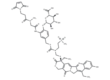 MAC glucuronide α-hydroxy lactone-linked SN-38