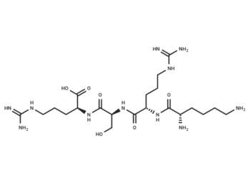 Osteoblast-Adhesive Peptide