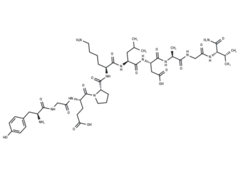 Pneumadin, rat