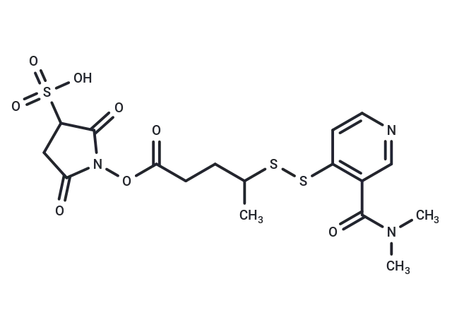 Sulfo-DMAC-SPP Sulfo-DMAC-SPP