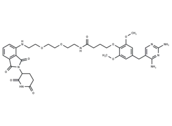 PROTAC eDHFR Degrader-1