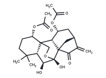 Shikokianin