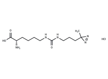 DiZPK Hydrochloride (1337883-32-5 free base)