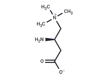 Aminocarnitine