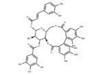 1-O-Caffeoyl-3-O-galloyl-4
