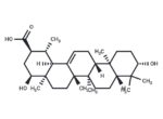 Triptotriterpenic acid C