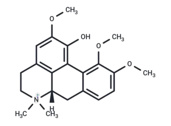 (+) N-Methylcorydine