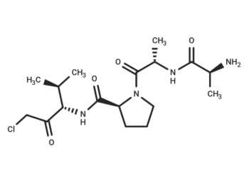 Ala-Ala-Pro-Val-chloromethylketone