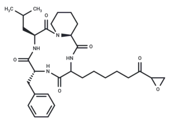 FR 900261, Antibiotic WF 3161