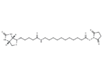 Biotin-C10-NHS Ester