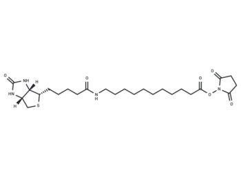 Biotin-C10-NHS Ester