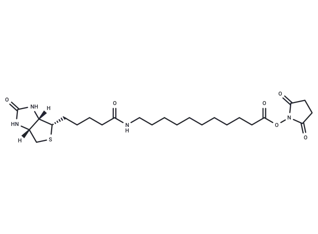 Biotin-C10-NHS Ester