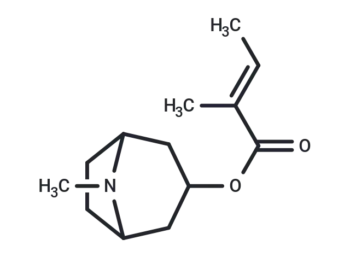 Tigloidine