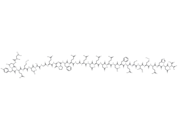 PKC fragment (530-558)