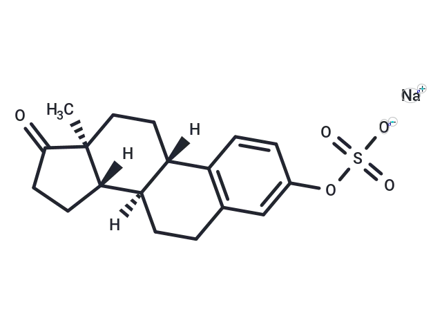 Estrone sulfate sodium CgoaEWY7R ED vqAAAAAIHMLpQ342- Immunomart