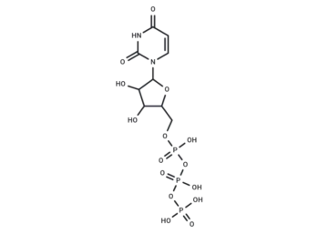Uridine triphosphate