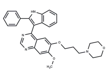 YS-363