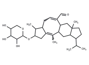 Aleurodiscal
