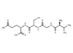 Val-Gly-Ser-Glu 1 Val-Gly-Ser-Glu