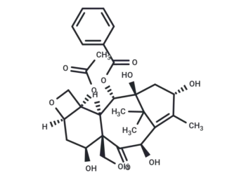 19-Hydroxy-10-deacetylbaccatin III