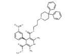 (R)-(-)-Niguldipine