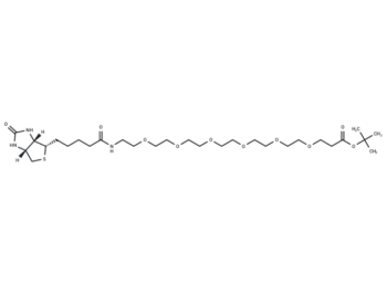 Biotin-PEG6-Boc