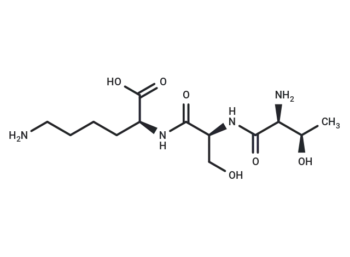 Threonyl-seryl-lysine