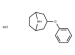 3-phenoxy-8-azabicyclo[3.2.1]octane HCl