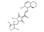 Zopfiellamide A