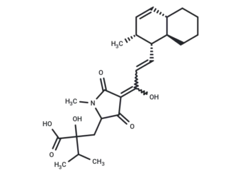 Zopfiellamide A