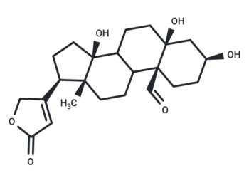 Strophanthidin (Corchorin)