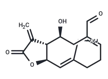 Urospermal