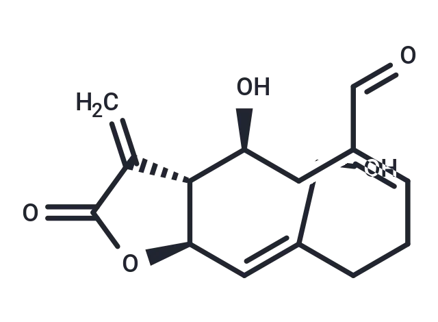 Urospermal CgoaEWY7Rs2EJEueAAAAAJaQ 6I519- Immunomart