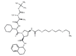 A 410099.1 amide-PEG3-amine-Boc
