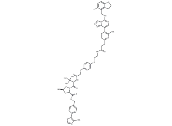 PROTAC EED degrader-1
