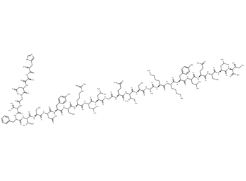 PHI-27 (rat)