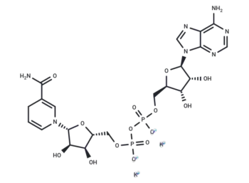 β-Nicotinamide adenine dinucleotide reduced dipotassium